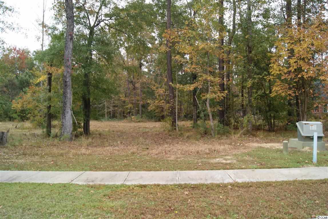 8204 Muldrow Ct. Myrtle Beach, SC 29588