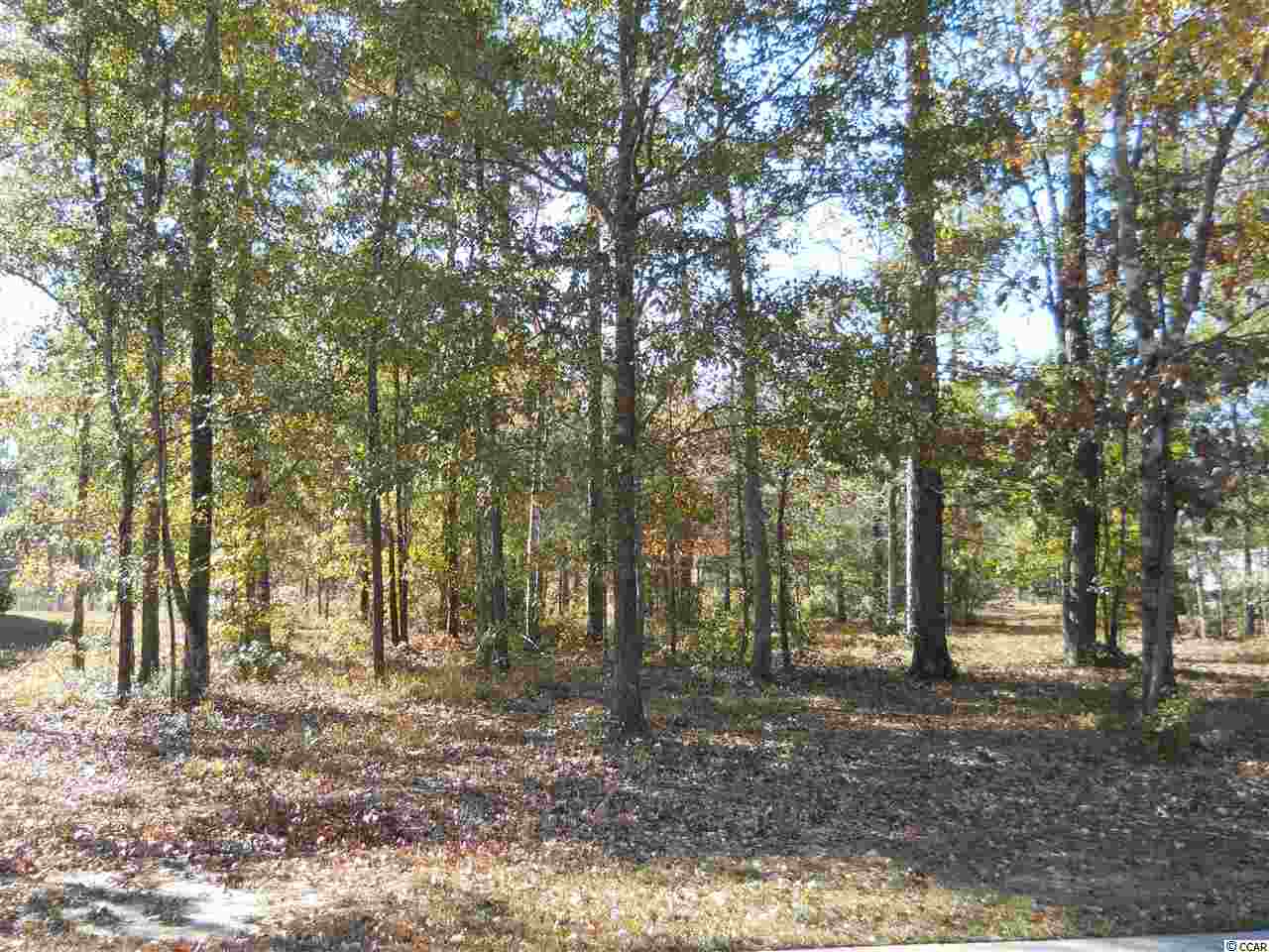 1045 Johnston Dr. Myrtle Beach, SC 29588