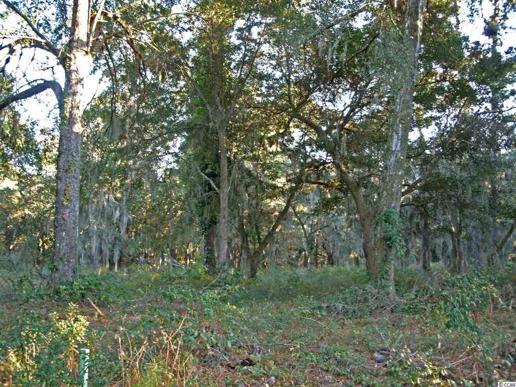 Lot 6 Tuckers Rd. Pawleys Island, SC 29585