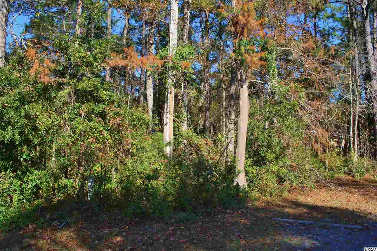 Lot 20 Hamilton Trail Pawleys Island, SC 29585