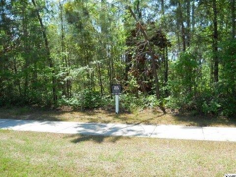 TBD Low Country Loop Murrells Inlet, SC 29576