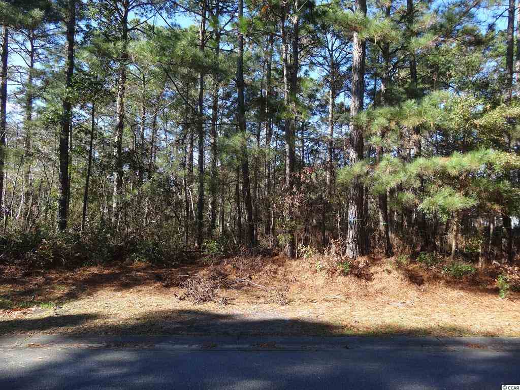 Lot G39 Red Tail Hawk Loop Pawleys Island, SC 29585