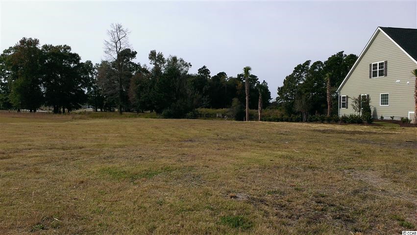 TBD Noddy Ct. Conway, SC 29526