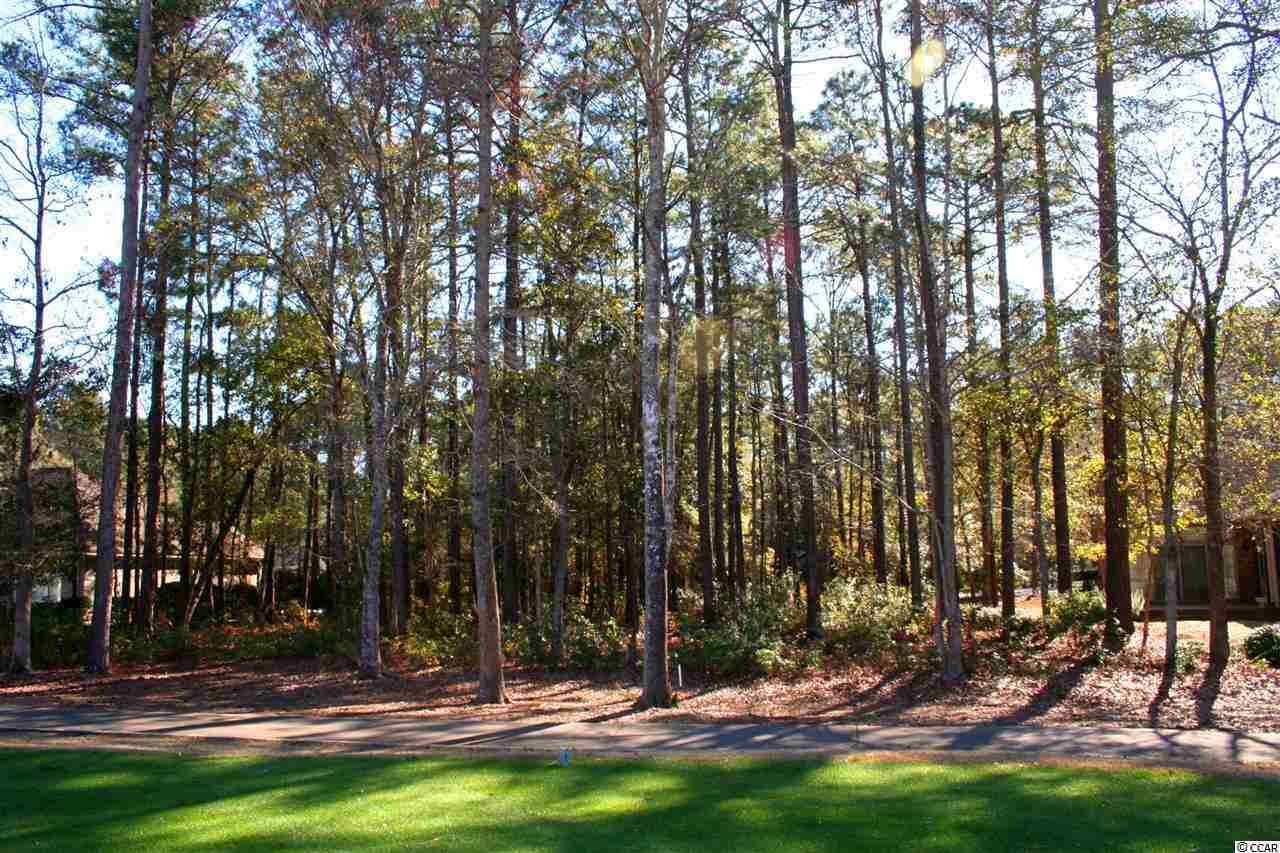 Lot 31F Georgetown Dr. Pawleys Island, SC 29585