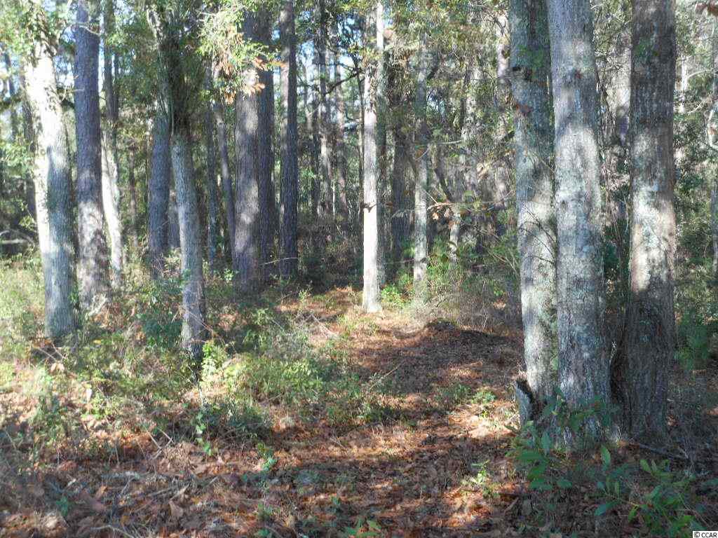 Lot 23 Deer Moss Ct. Pawleys Island, SC 29585