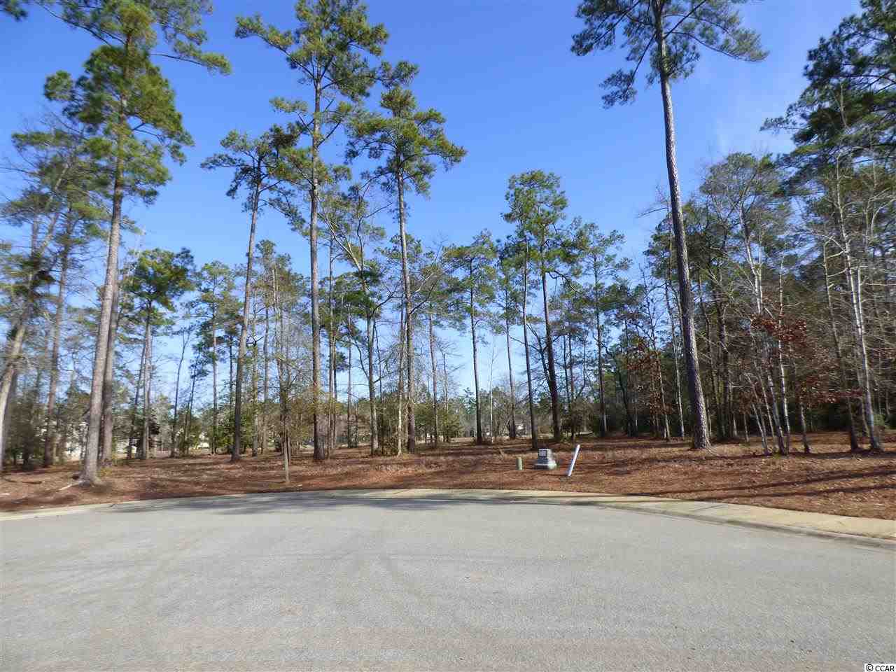 Lot 300 Byrnes Ln. Myrtle Beach, SC 29588