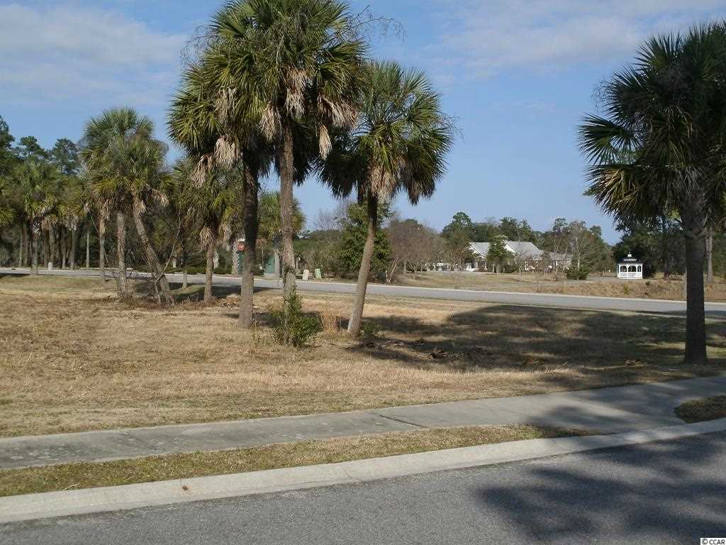 Lot 187 Comanders Island Rd. Georgetown, SC 29440