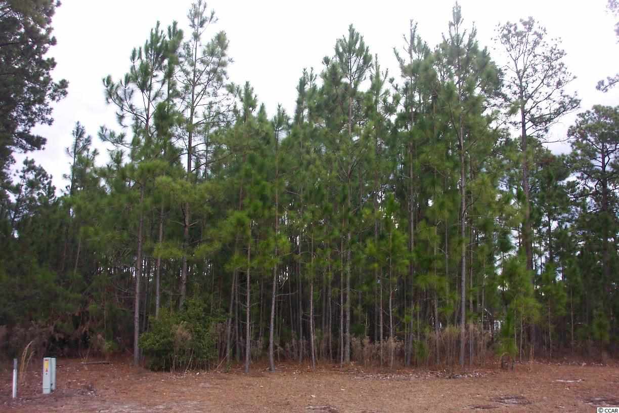 Lot 9 Potrush Trail Myrtle Beach, SC 29579