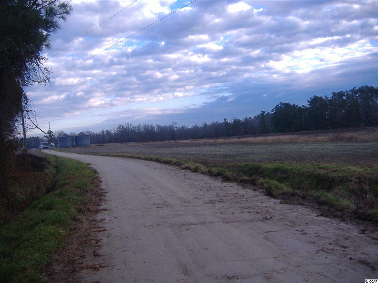 2725 Cobblestone Rd. Loris, SC 29569