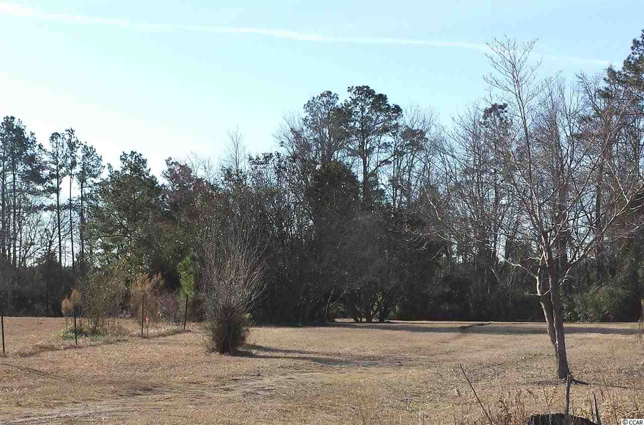 TBD/ LOT 1 Watson Dr. Longs, SC 29568