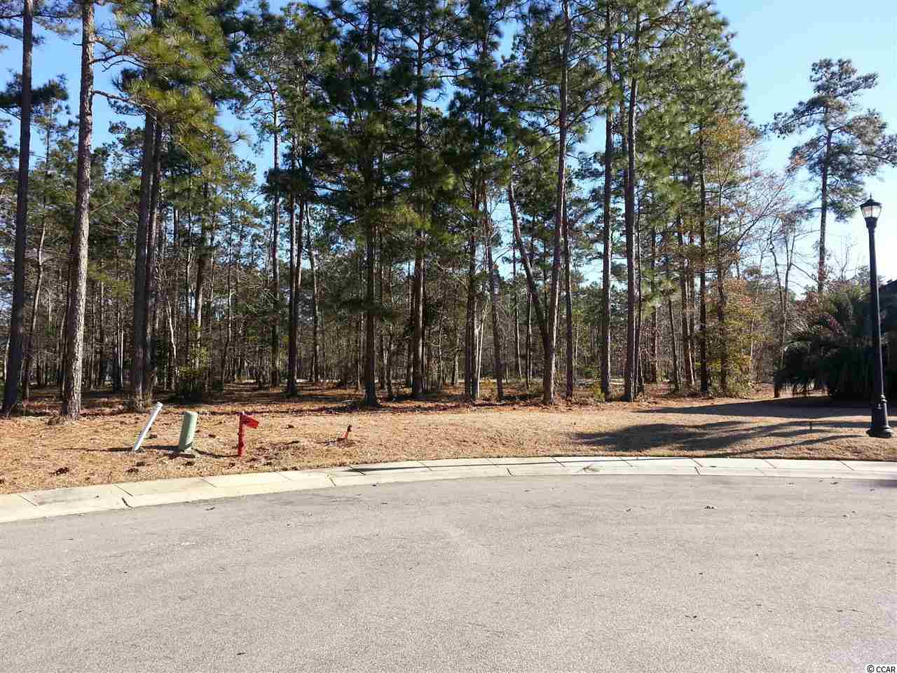 Lot 223 Gist Ln. Myrtle Beach, SC 29588