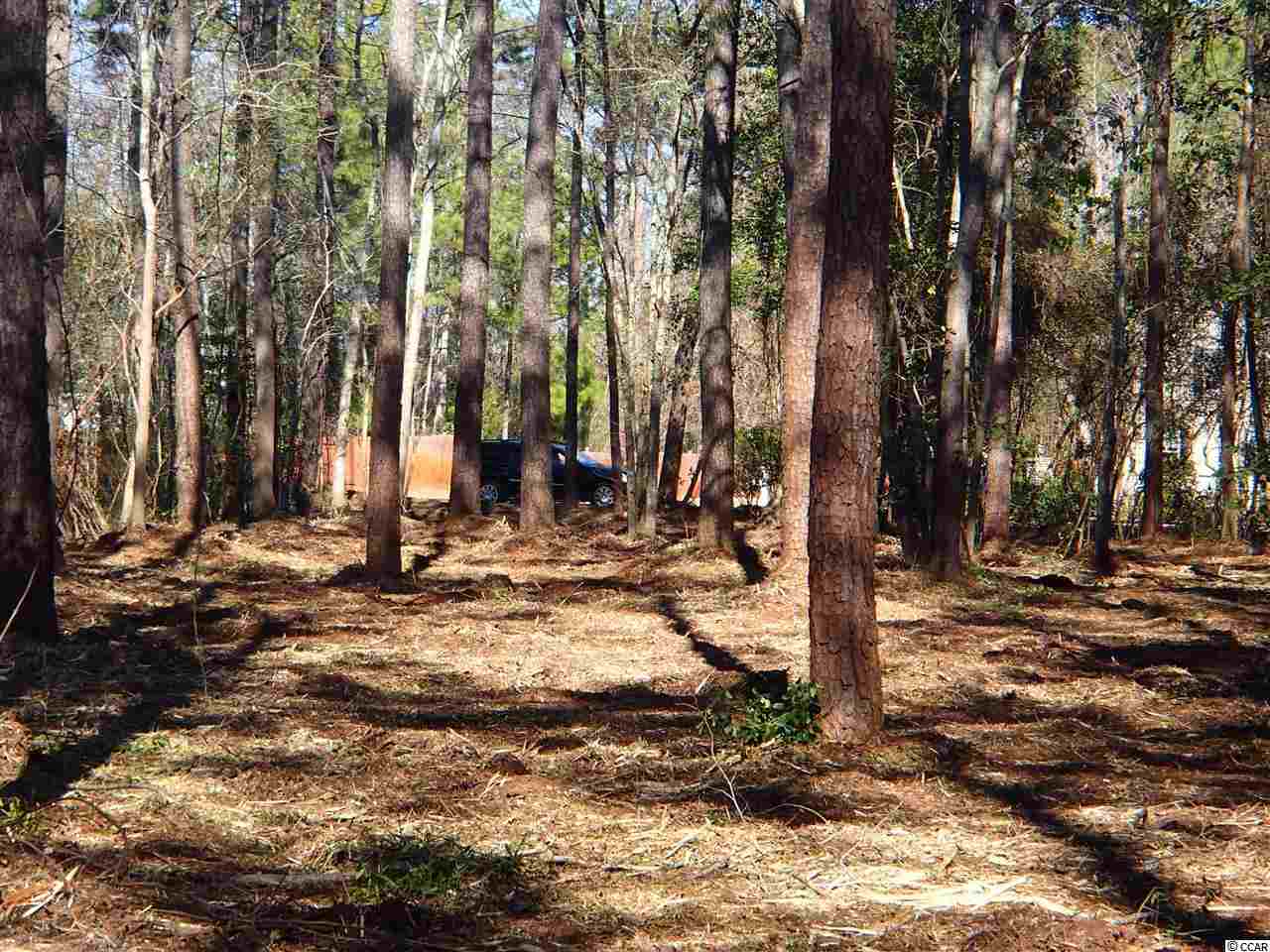 155 Duck Blind Trail Myrtle Beach, SC 29588