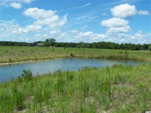 Lot 79 Vineyard Lake Circle Conway, SC 29527