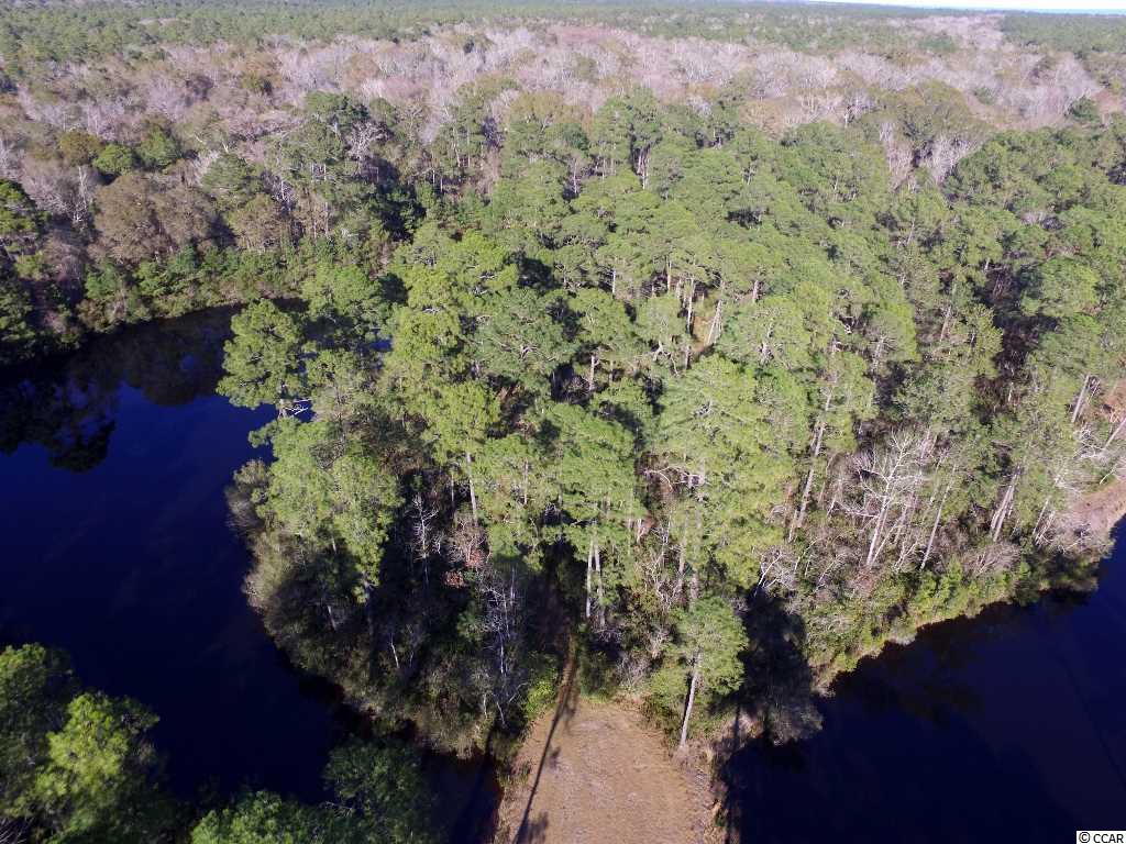 Lot 145 Ocean Lakes Loop Pawleys Island, SC 29585