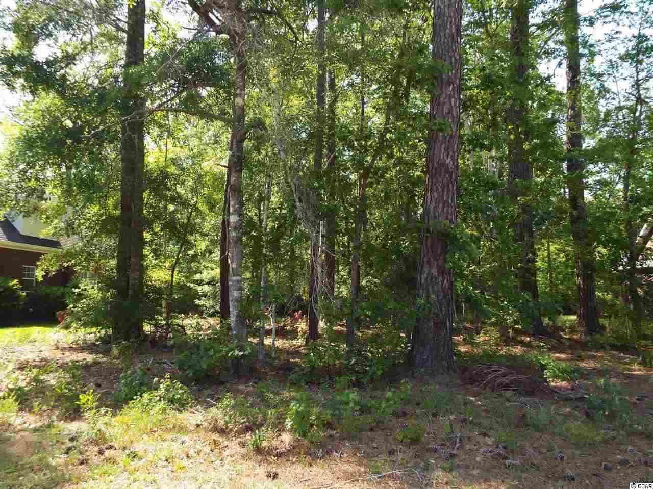 Lot 426 Henagan Ln. Myrtle Beach, SC 29588