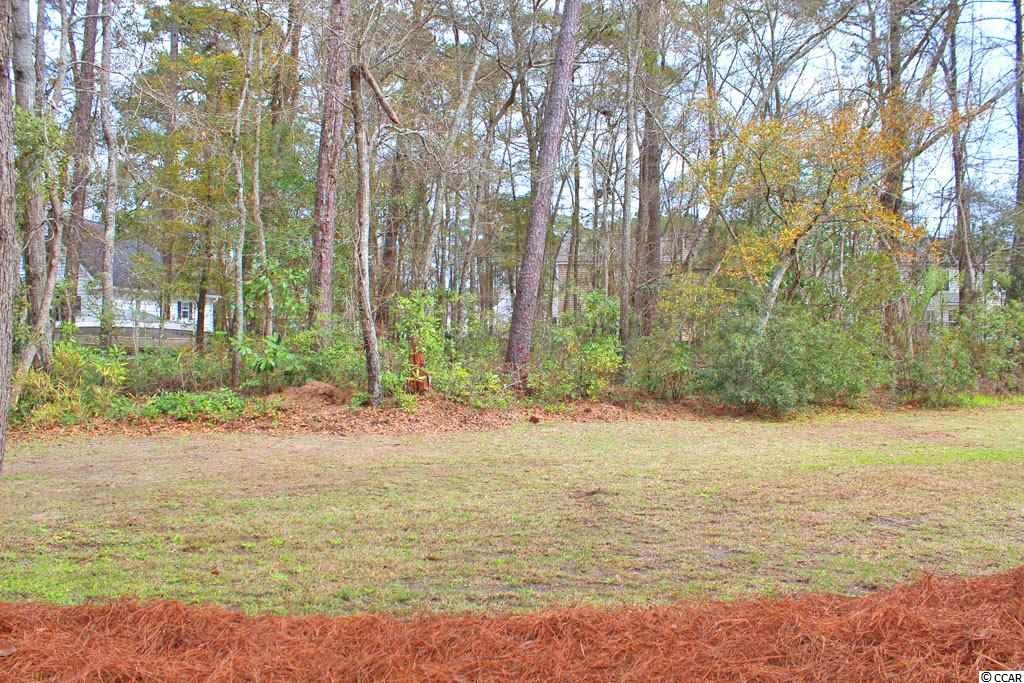 Lot 9 Sugarberry Ln. Pawleys Island, SC 29585