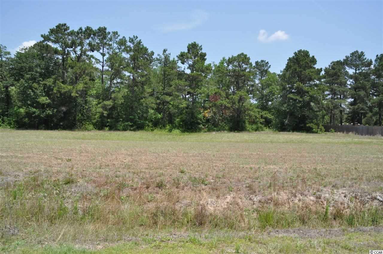 Lot 13 Coleman Ln. Tabor City, NC 28463