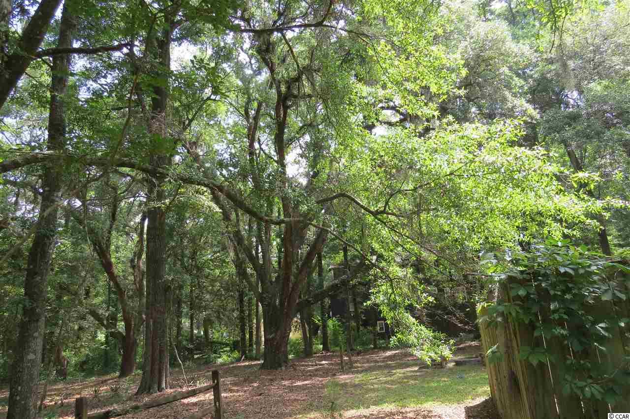 Lot 2B Plowden Ln. Pawleys Island, SC 29585