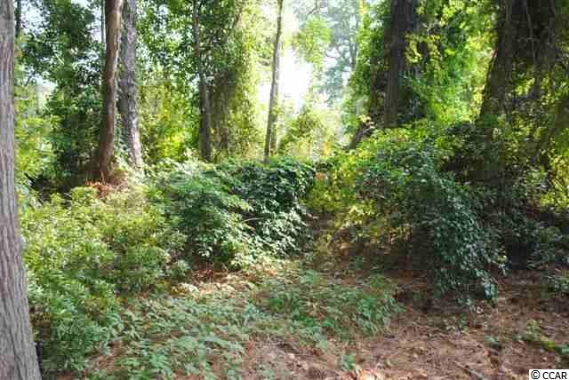 4413 Green Bay Trail Myrtle Beach, SC 29577