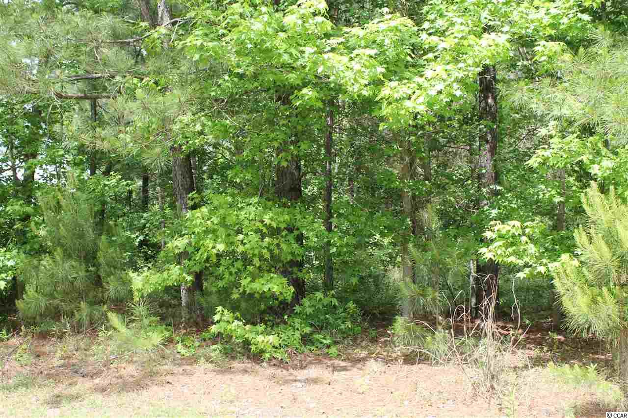 Lot 11 Triple Crown Ct. Myrtle Beach, SC 29579