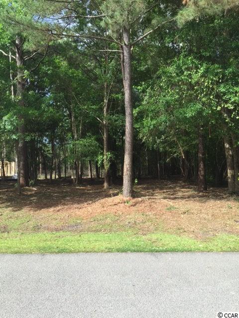 Lot 2 West Pelican Rd. Little River, SC 29566