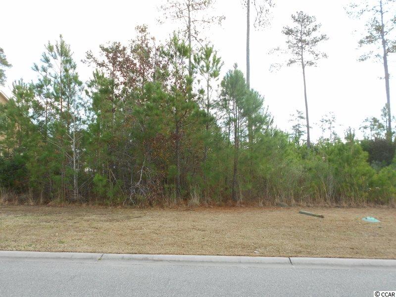 Lot 100 Summerlight Dr. Murrells Inlet, SC 29576