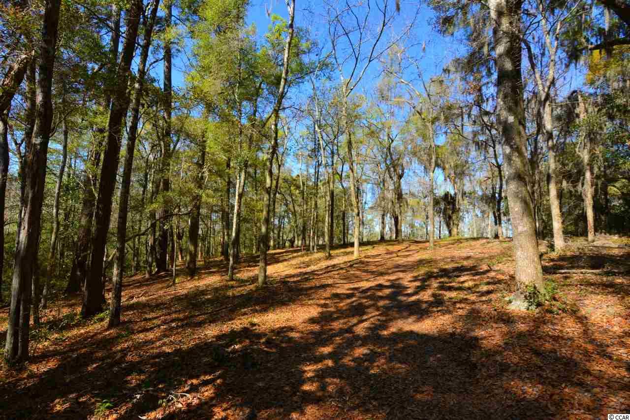 Lot 1 Bannockburn Dr. Pawleys Island, SC 29585