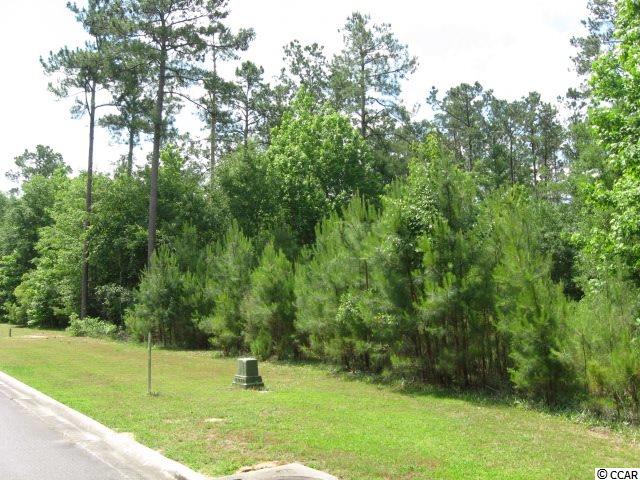 Lot 85 Woody Point Dr. Murrells Inlet, SC 29576