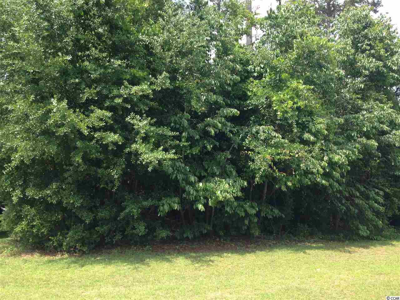 16 Cottage Dr. Murrells Inlet, SC 29576