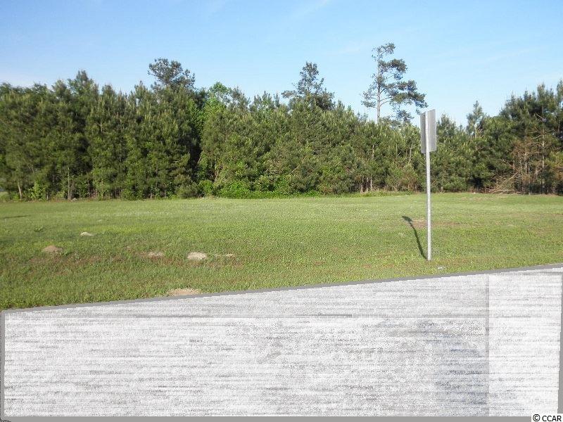 Lot 14 Cat Tail Bay Dr. Conway, SC 29527