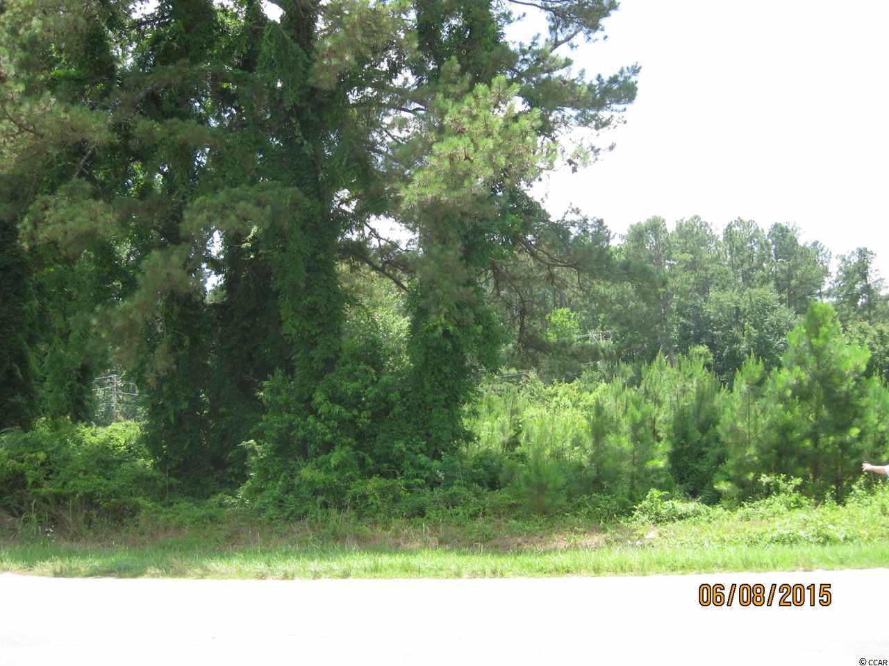 Highway 319 Conway, SC 29526