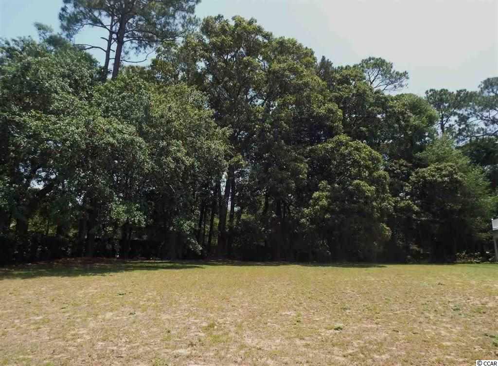 Lot 16 Ocean Pointe Ct. North Myrtle Beach, SC 29582