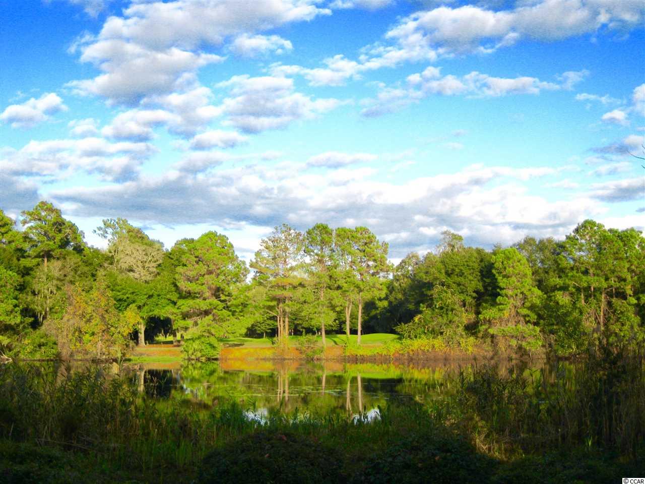 Lot 2 Ruddy Duck Ln. Pawleys Island, SC 29585