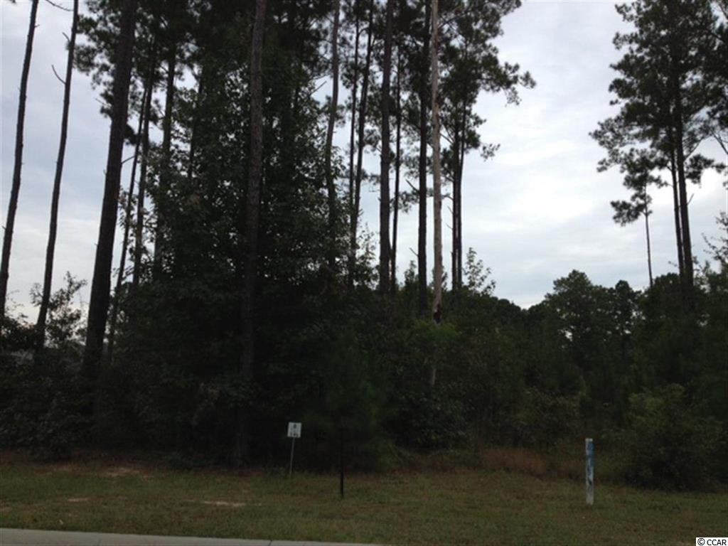 813 Tilly Lake Rd. Conway, SC 29526