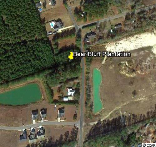 TBD Bear Bluff Dr. Conway, SC 29526