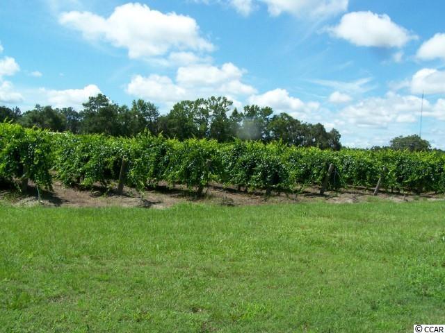 Lot 36 Vineyard Lake Circle Conway, SC 29527