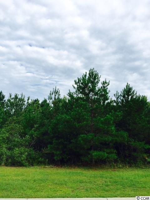 Lot 8 Hunters Trail Myrtle Beach, SC 29588