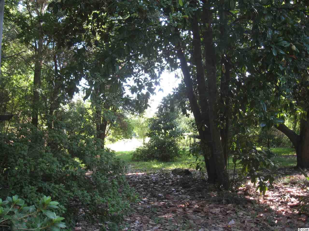 3270 Highmarket St. Georgetown, SC 29440