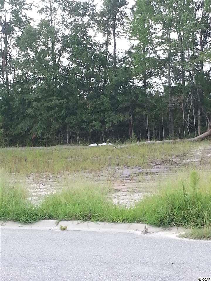 Lot 149 Rambler Ct. Myrtle Beach, SC 29588