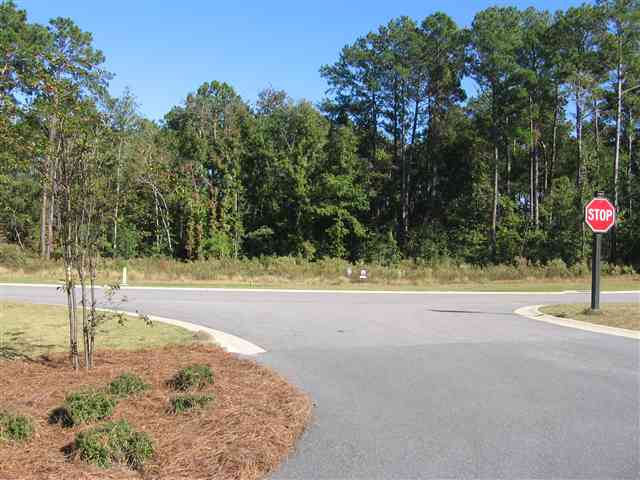 Lot 75 Woody Point Dr. Murrells Inlet, SC 29576