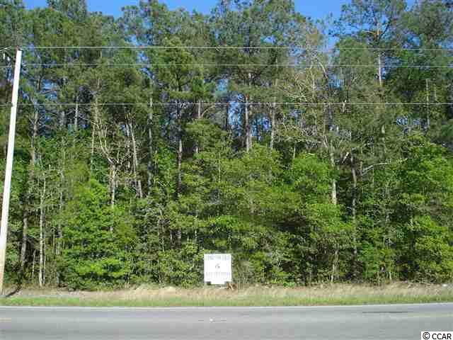 TBD Highway 701 South Conway, SC 29527