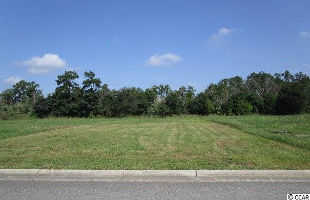 Lot 78 Cravens St. Georgetown, SC 29440