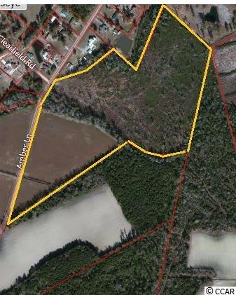 TBD Amber Ln. Galivants Ferry, SC 29544