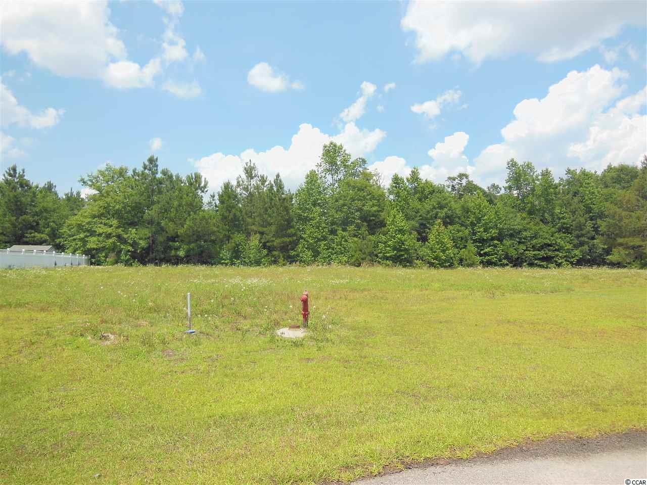Lot 5 Wild Blueberry Ln. Conway, SC 29527