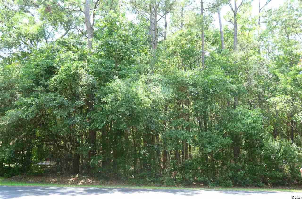 Lot B-4 Live Oak Dr. Little River, SC 29566