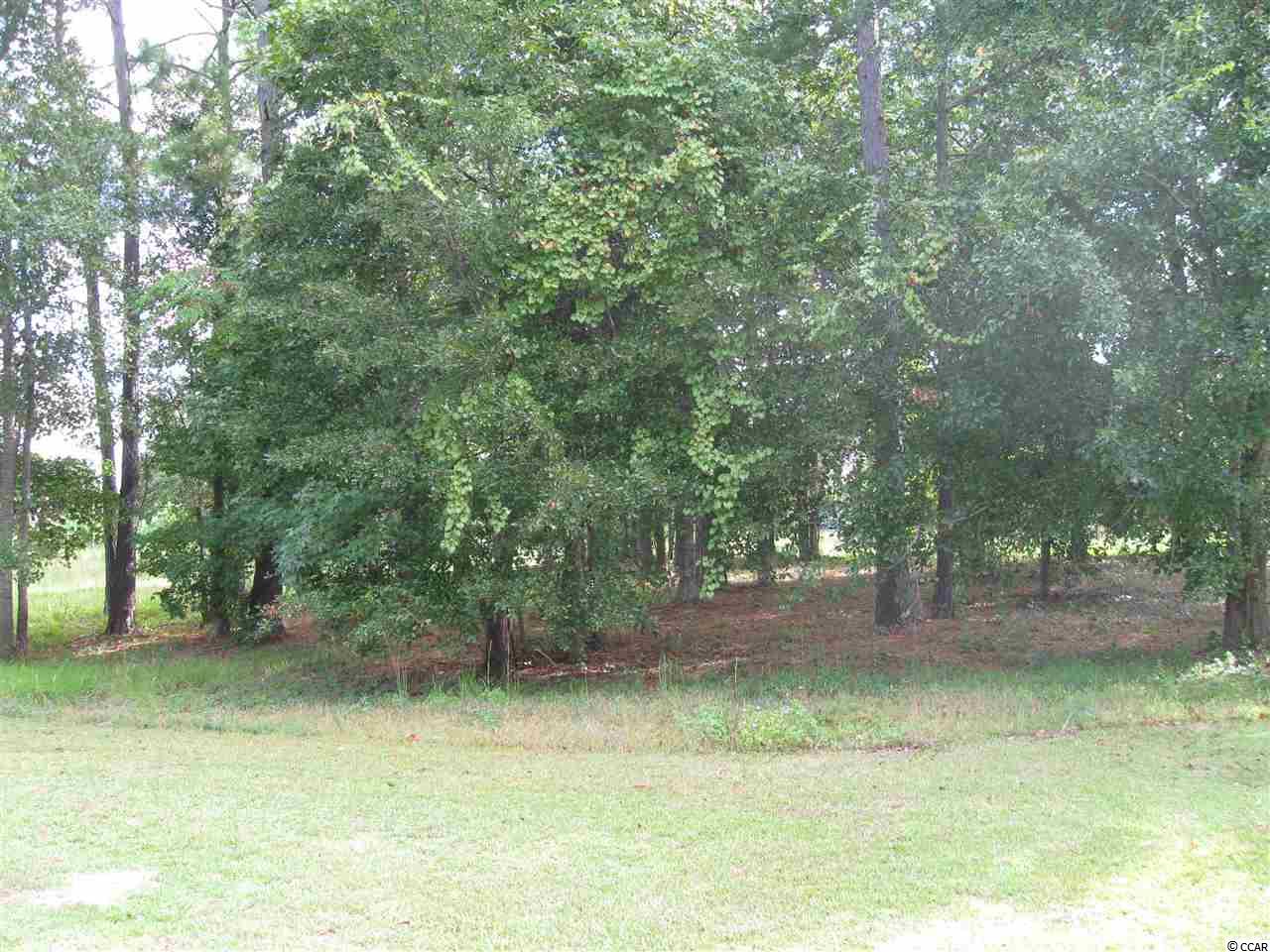 Lot 44 Bentbill Circle North Myrtle Beach, SC 29582