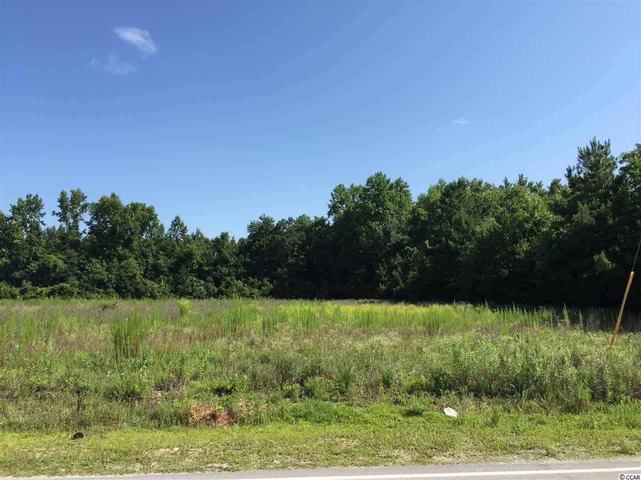 Tract 6 Wise Rd. Conway, SC 29526