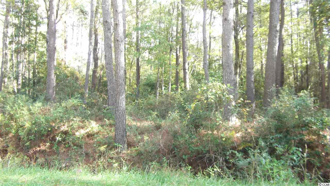 176 NW Bayyard Ct. Carolina Shores, NC 28467
