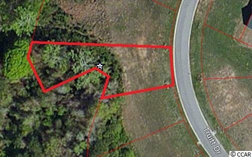 Lot 17 Truitt Dr. Longs, SC 29568