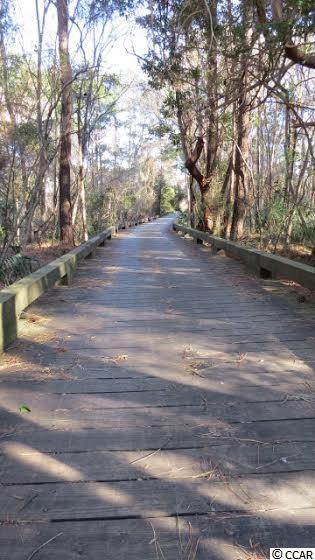 LOT 41 Cayman Loop Pawleys Island, SC 29585